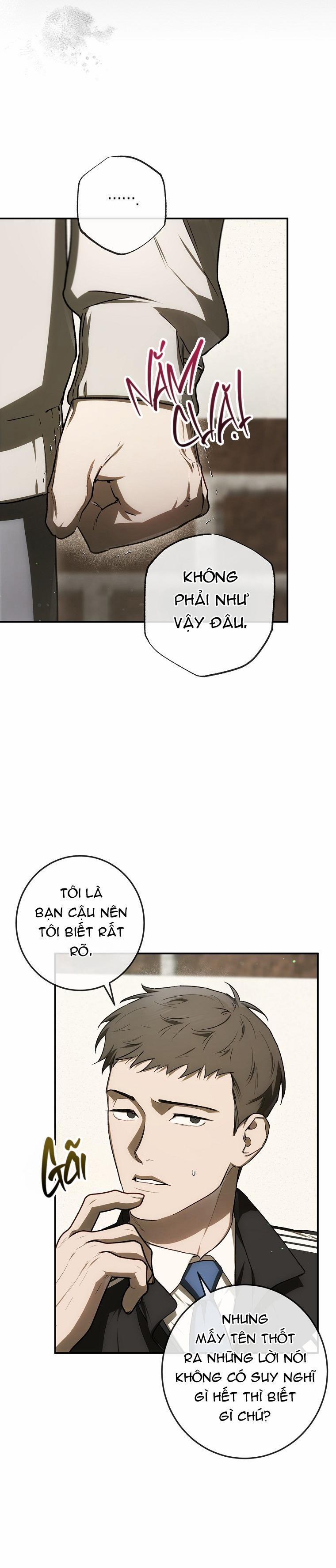 BẢO VẬT 27 trang 11