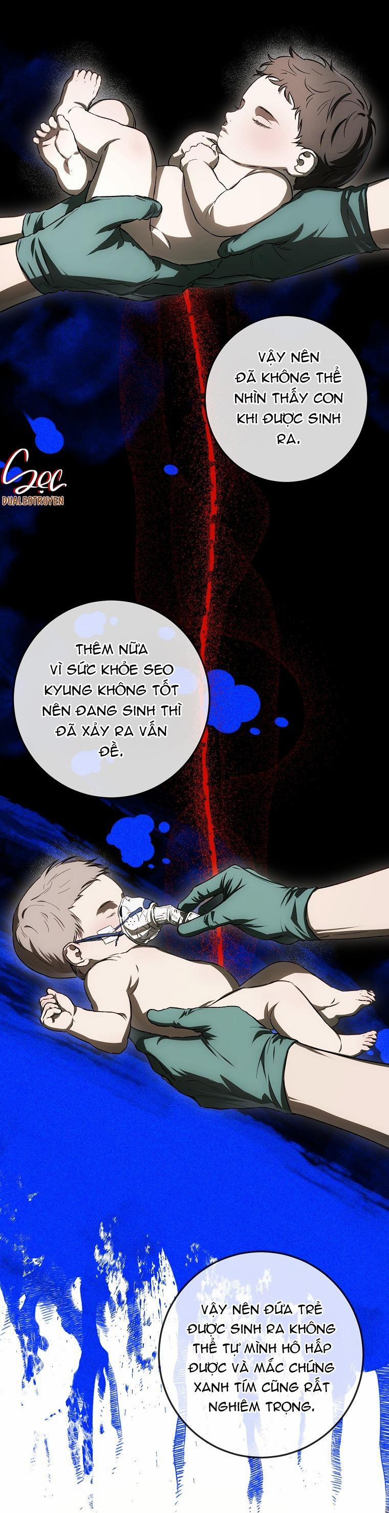 BẢO VẬT 27 trang 24