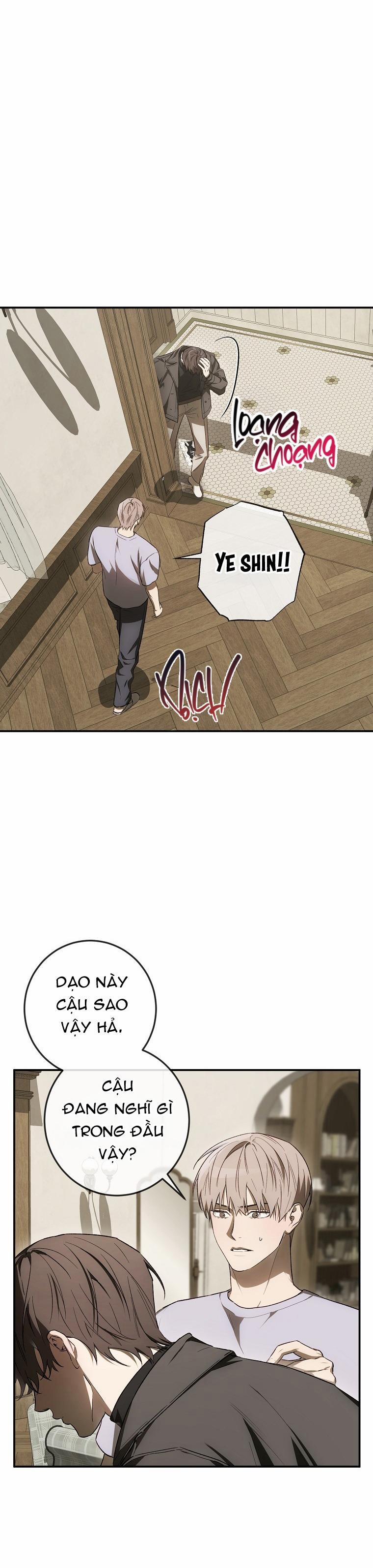 BẢO VẬT 27 trang 34