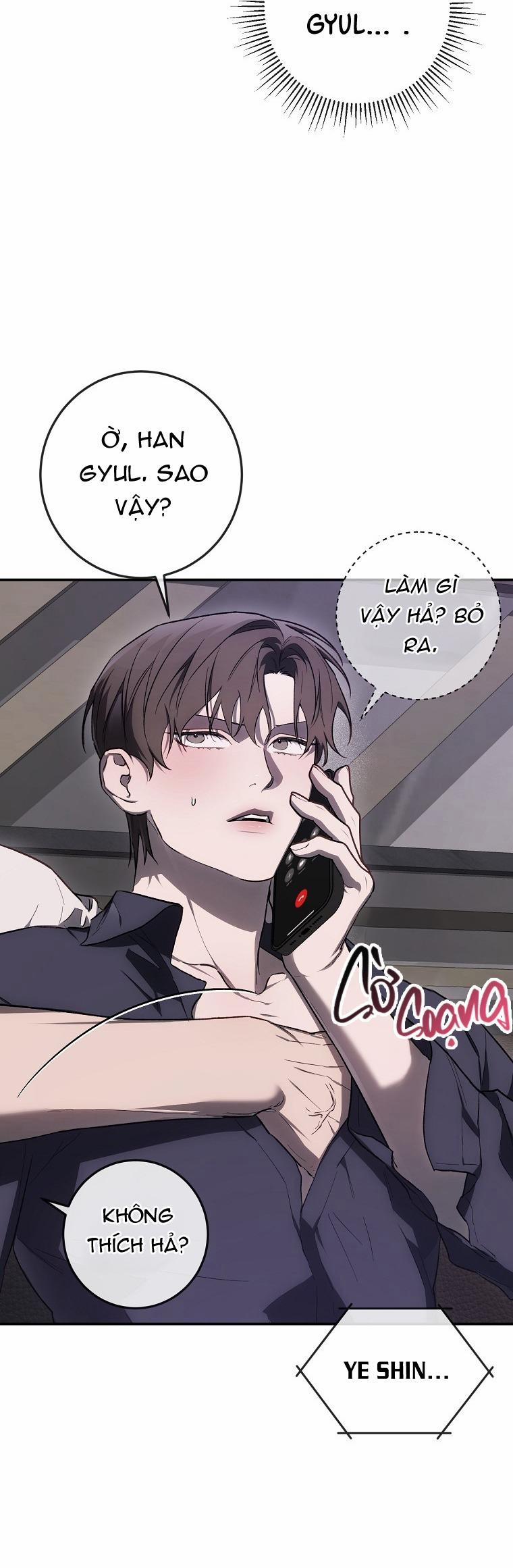 BẢO VẬT 27 trang 42