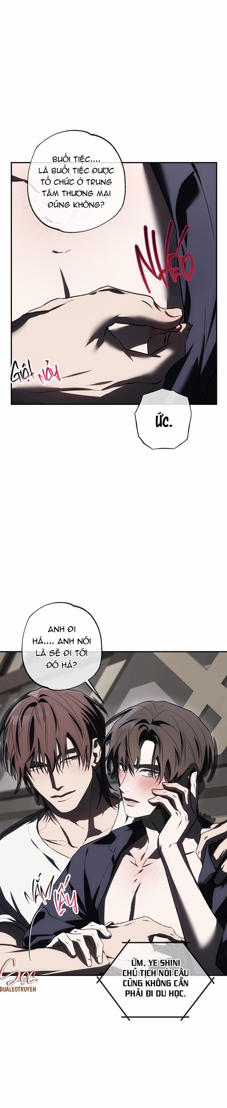 BẢO VẬT 28 trang 0