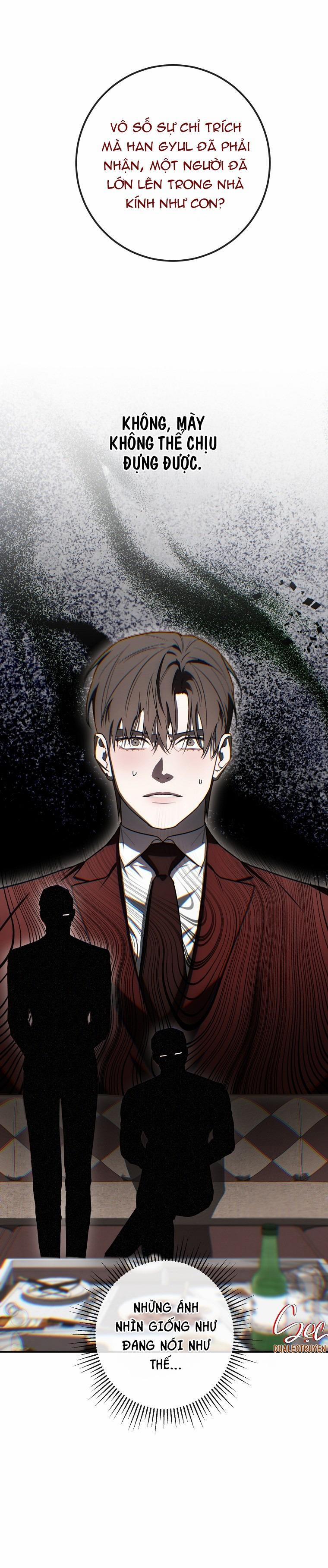 BẢO VẬT 28 trang 41