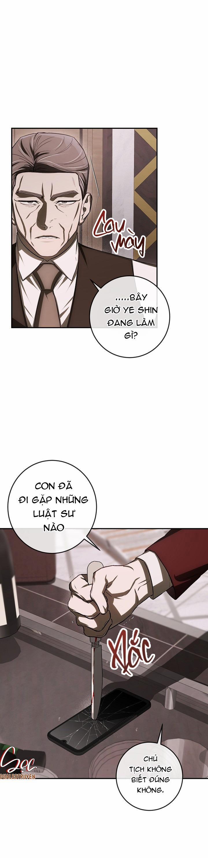 BẢO VẬT 29 trang 0