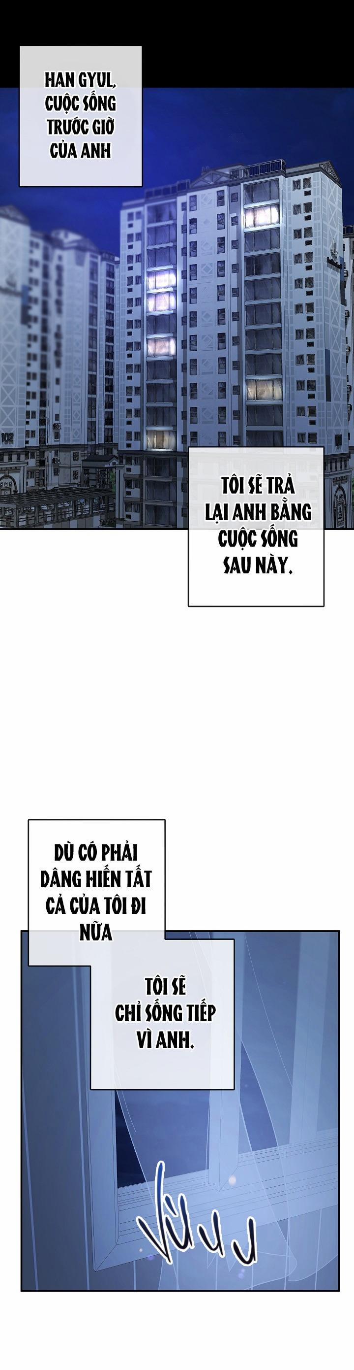 BẢO VẬT 29 trang 19