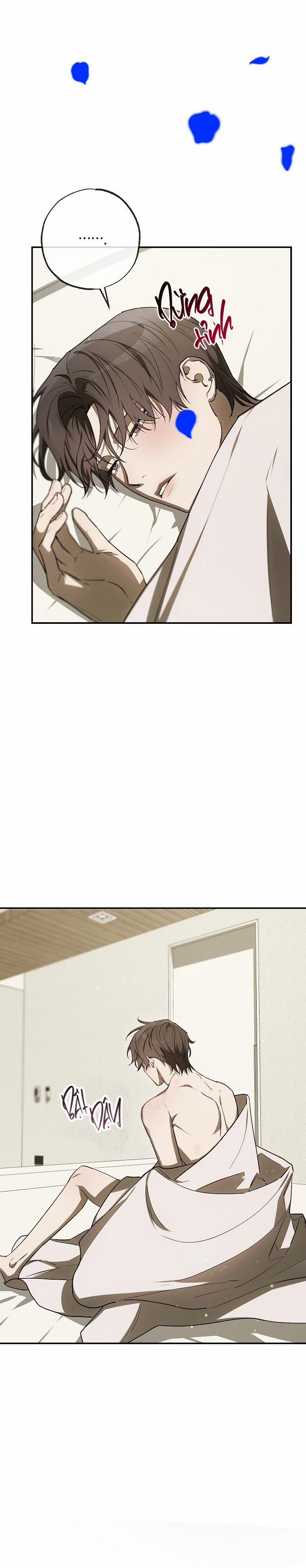 BẢO VẬT 29 trang 28