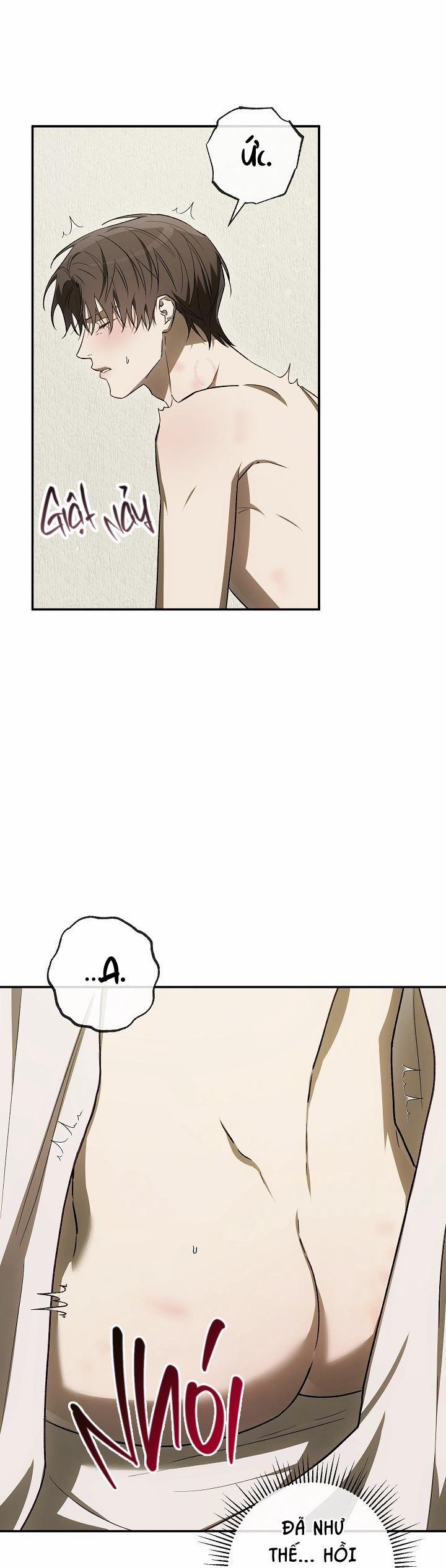 BẢO VẬT 29 trang 30