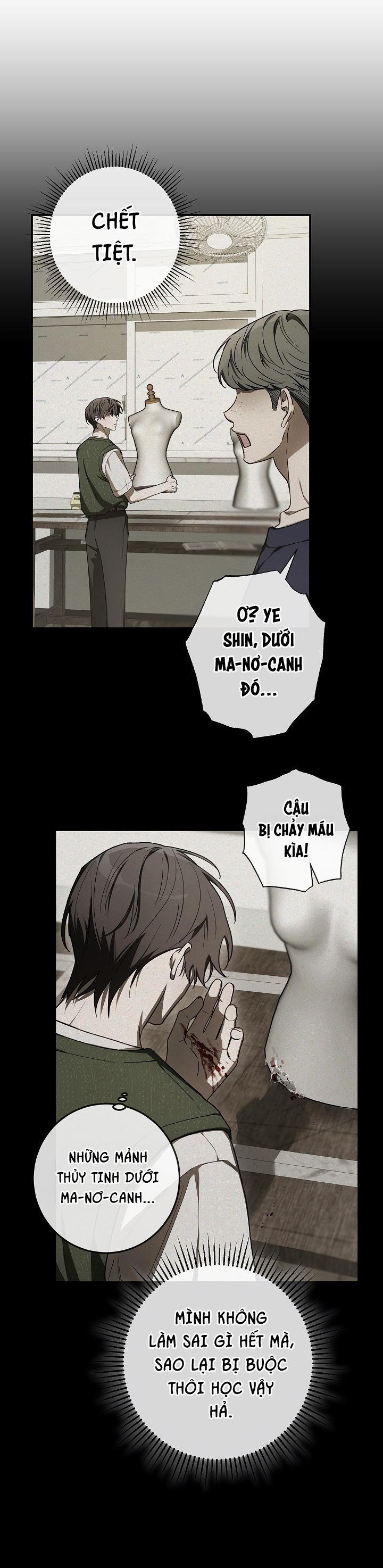 BẢO VẬT 29 trang 37