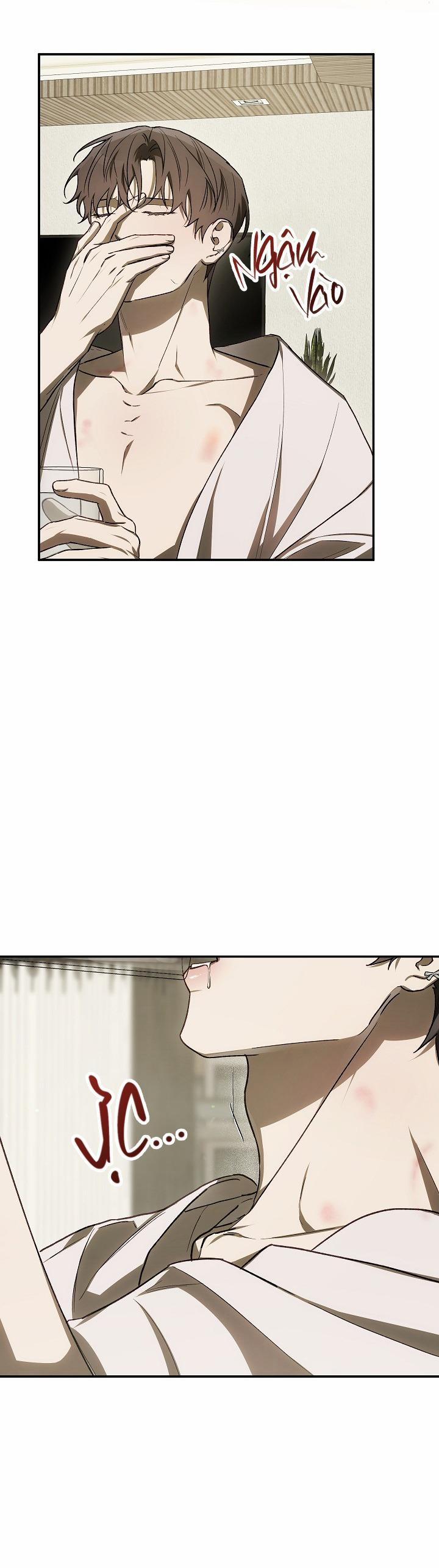 BẢO VẬT 29 trang 41