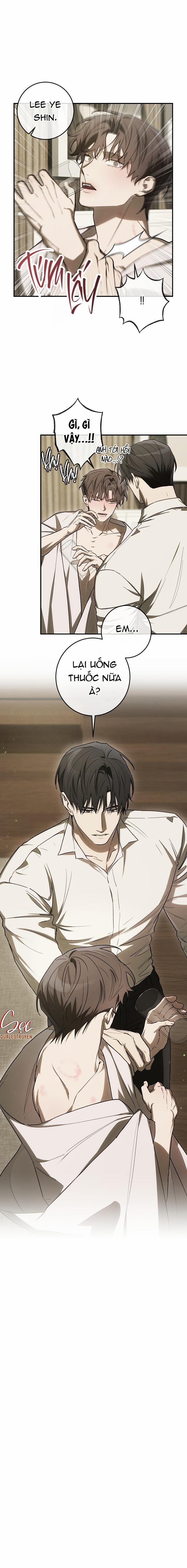 BẢO VẬT 29 trang 42