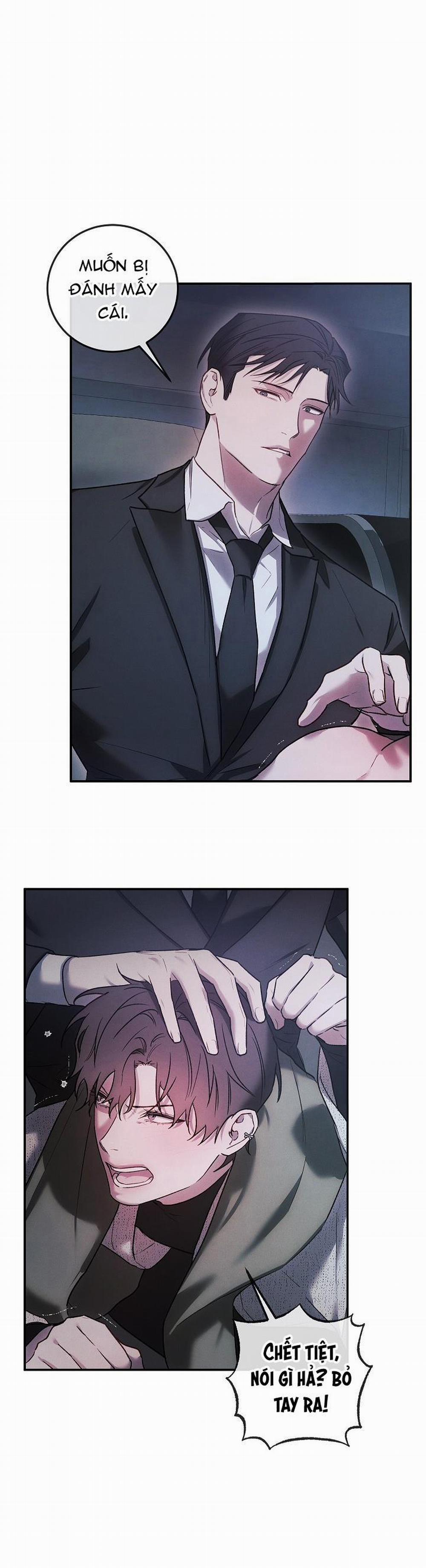 BẢO VẬT 3 trang 0