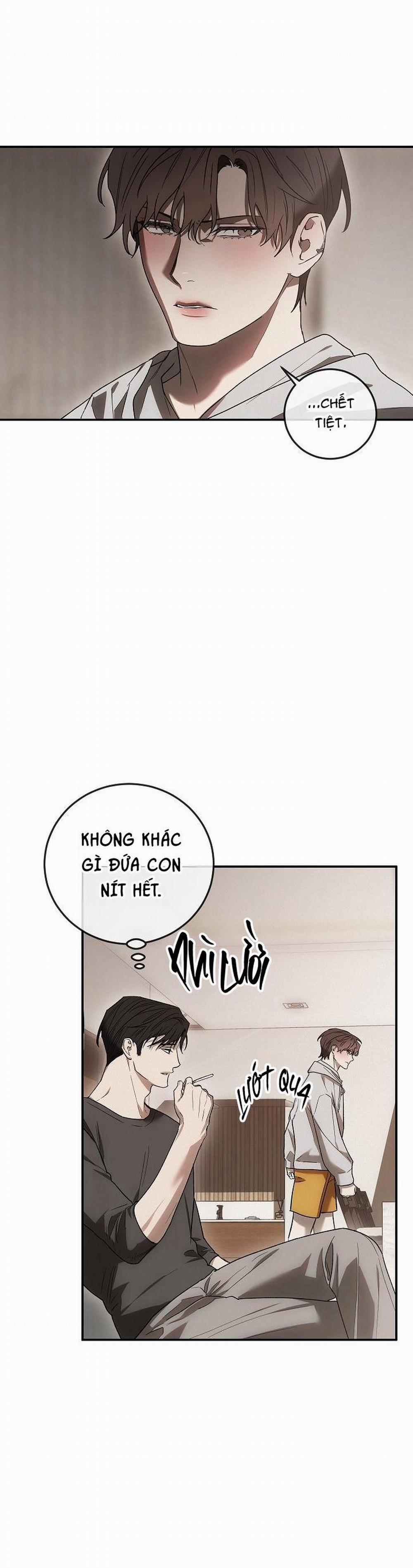 BẢO VẬT 4 trang 22