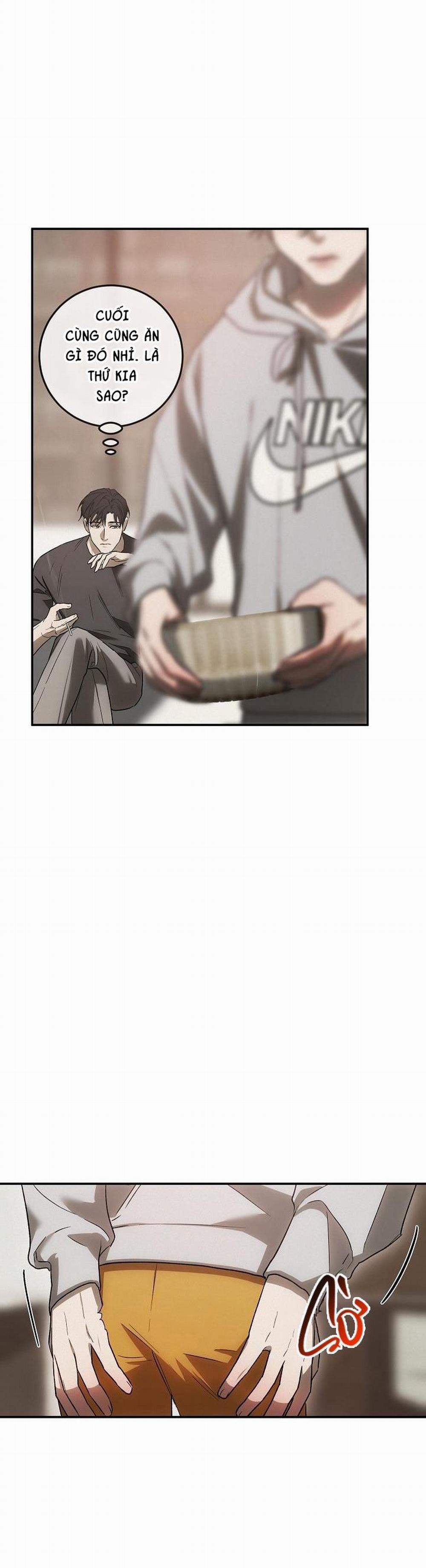 BẢO VẬT 4 trang 24