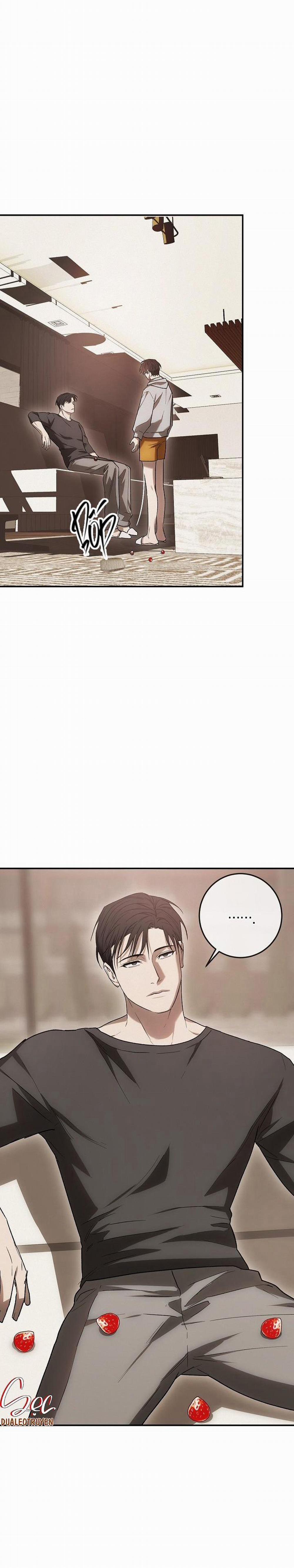 BẢO VẬT 4 trang 28