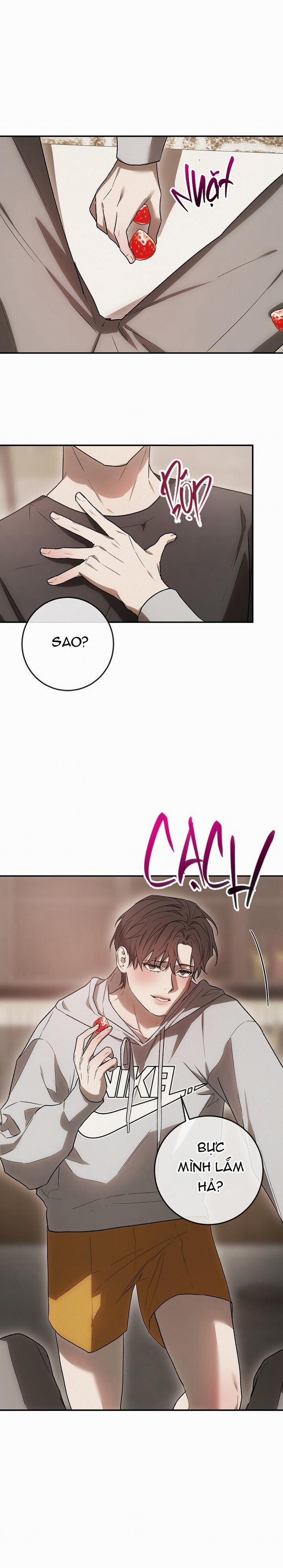 BẢO VẬT 4 trang 29