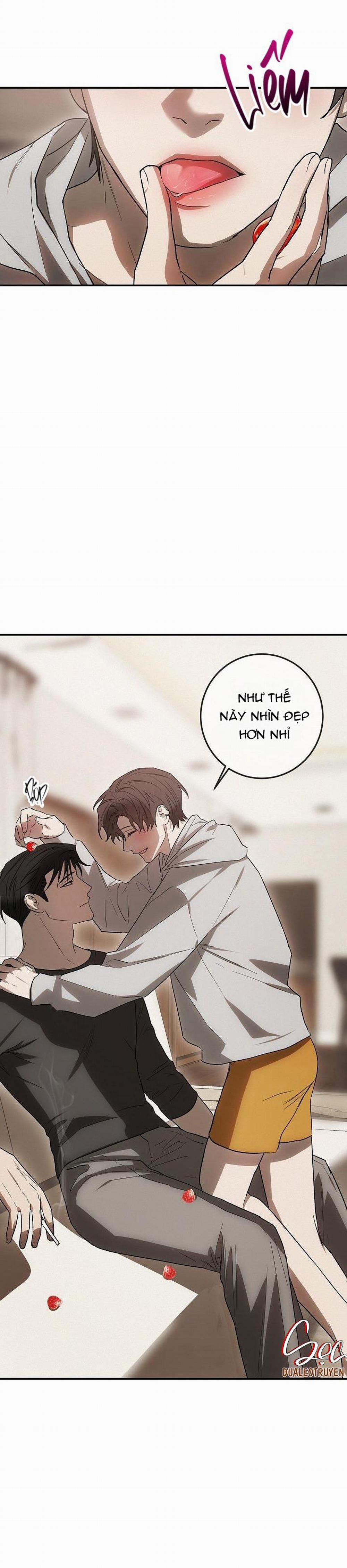 BẢO VẬT 4 trang 31