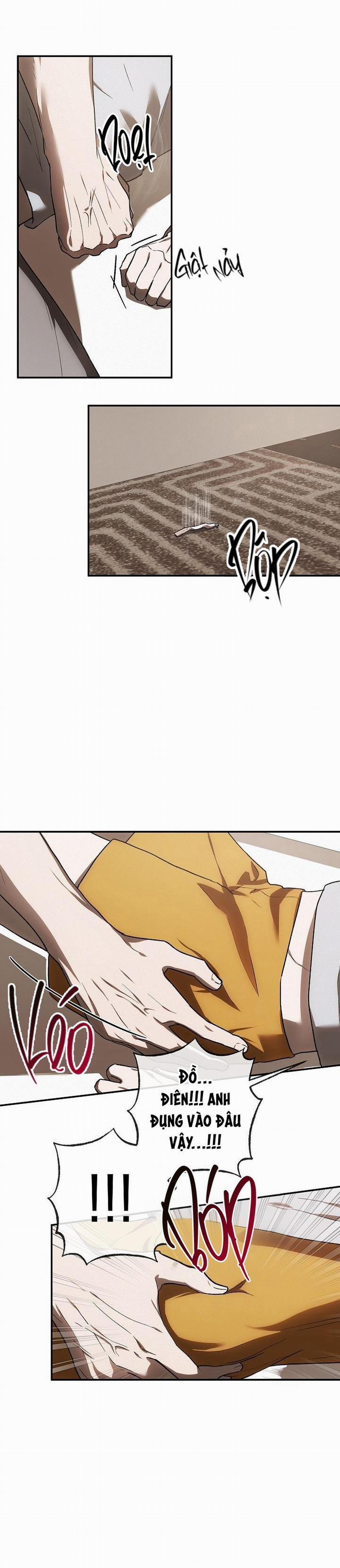 BẢO VẬT 5 trang 1