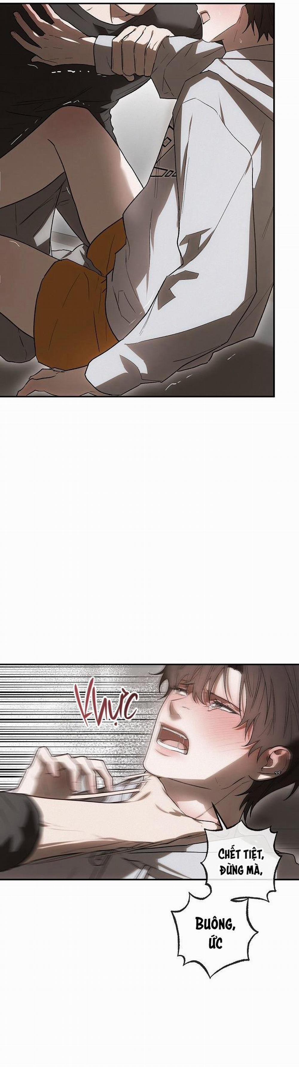 BẢO VẬT 5 trang 3