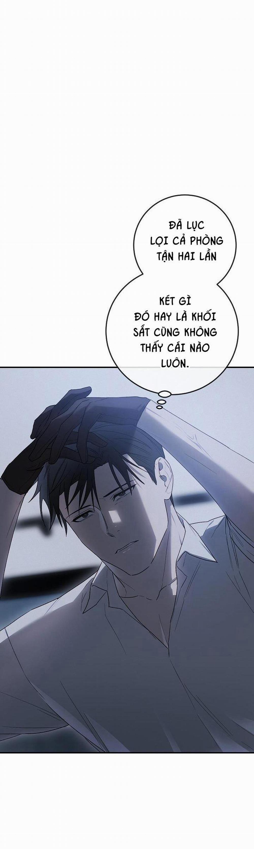 BẢO VẬT 5 trang 31