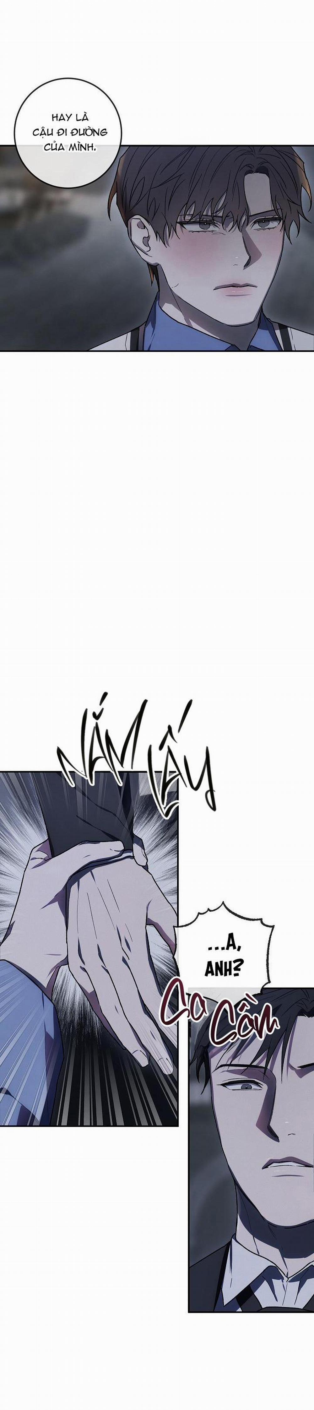 BẢO VẬT 6 trang 13