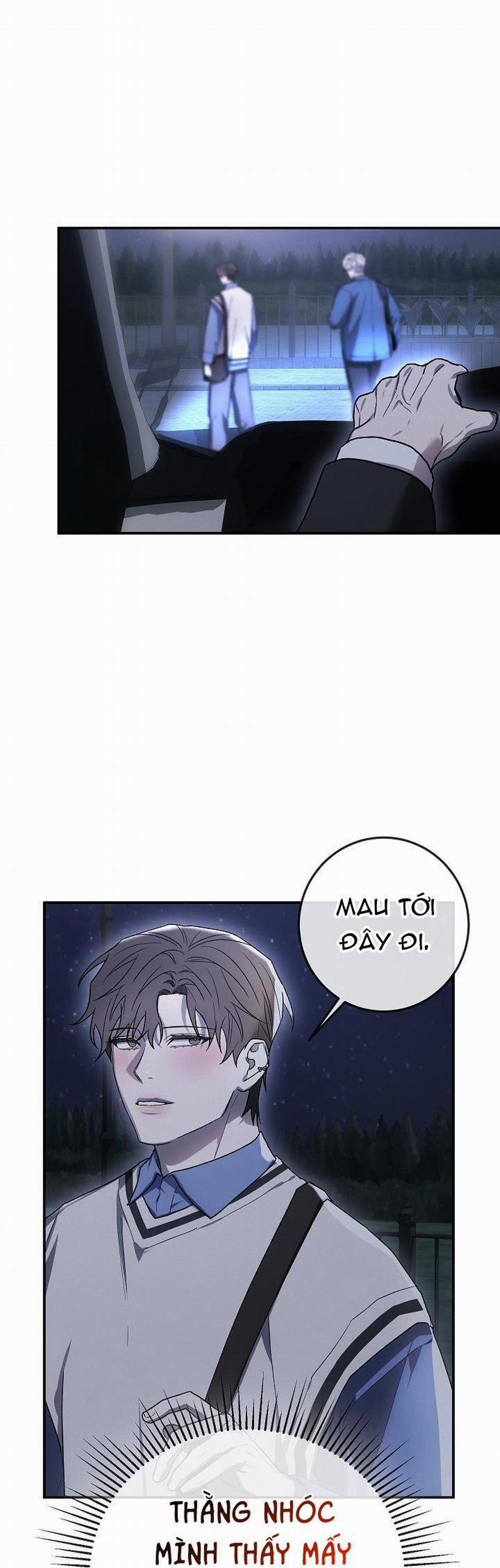 BẢO VẬT 6 trang 19