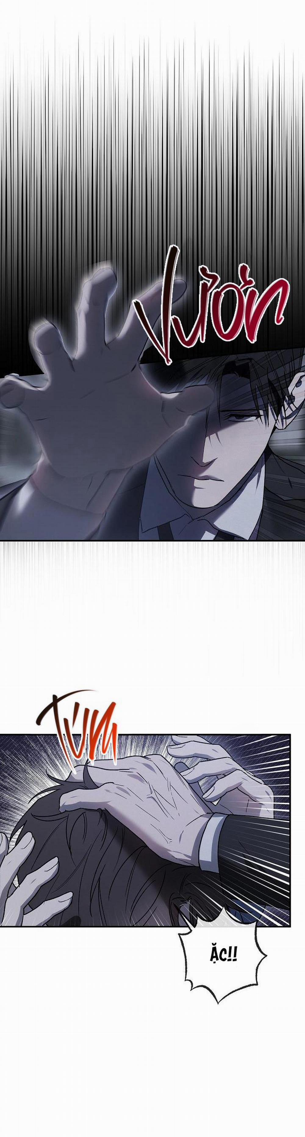 BẢO VẬT 6 trang 23