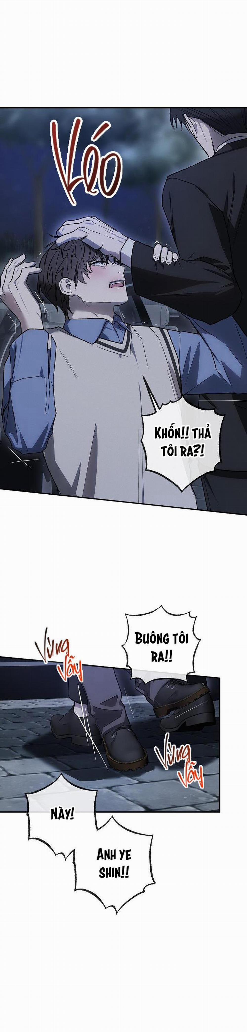 BẢO VẬT 6 trang 24