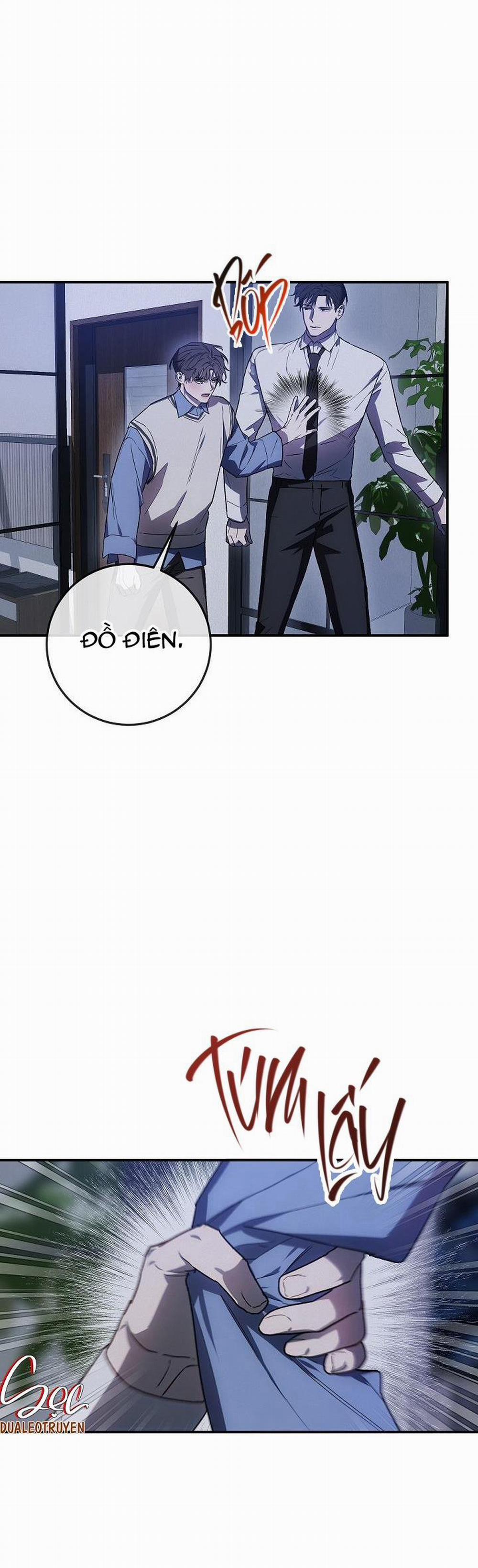 BẢO VẬT 6 trang 28