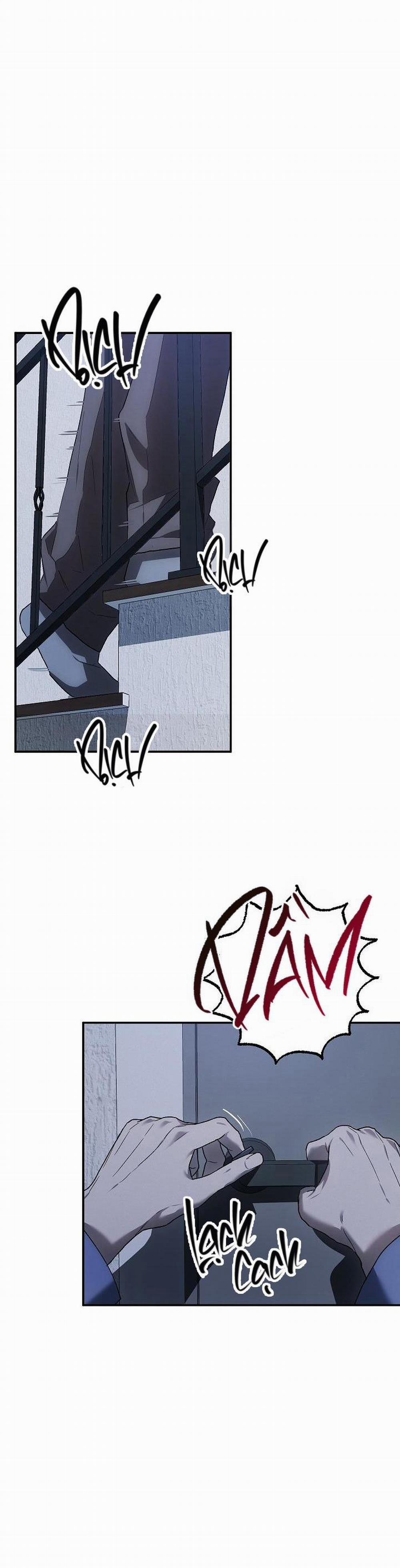 BẢO VẬT 6 trang 36