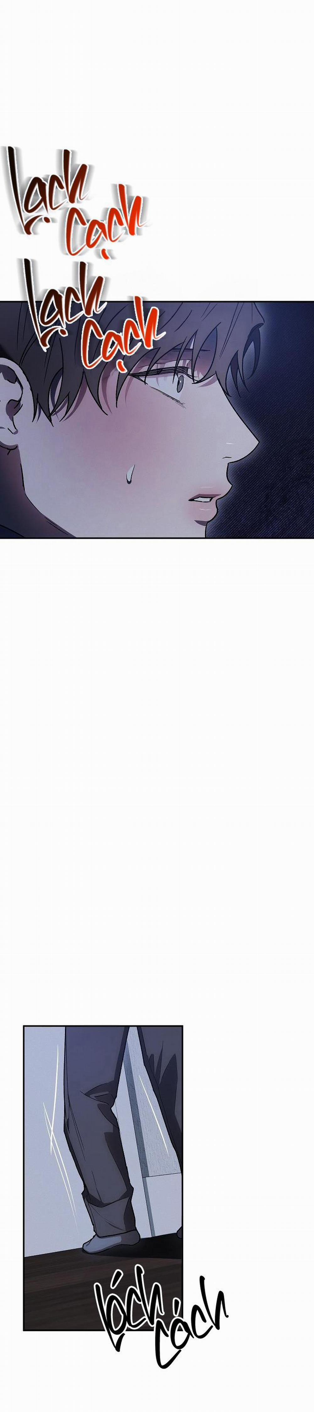 BẢO VẬT 6 trang 38