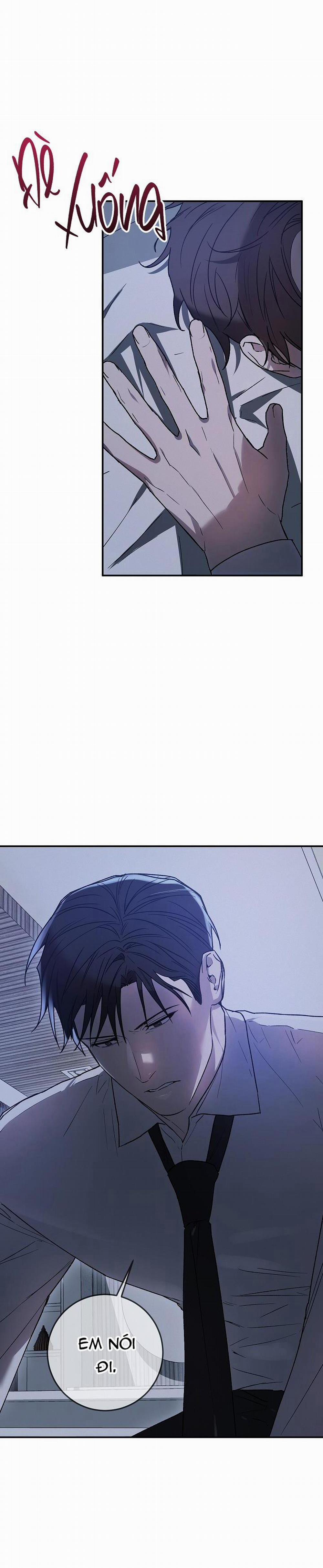 BẢO VẬT 6 trang 41