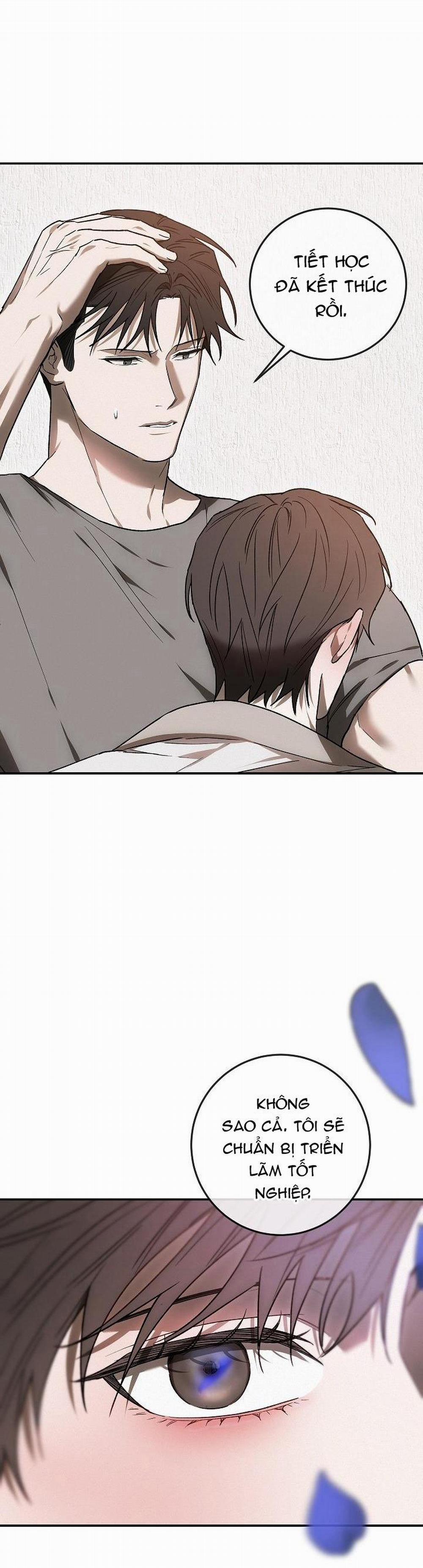 BẢO VẬT 7 trang 31