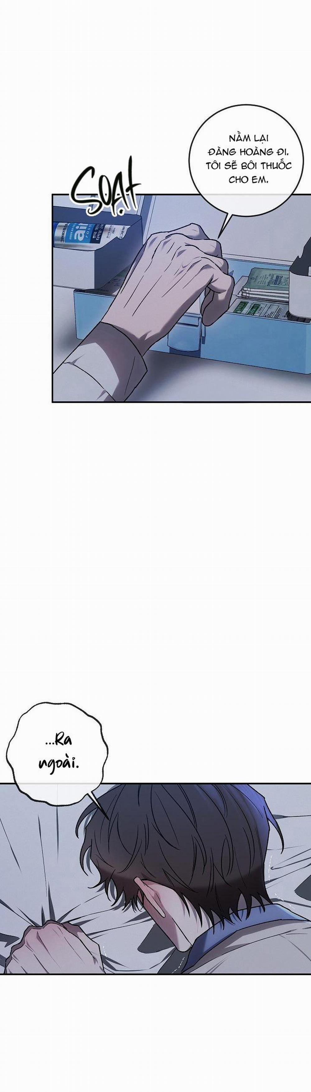 BẢO VẬT 7 trang 8