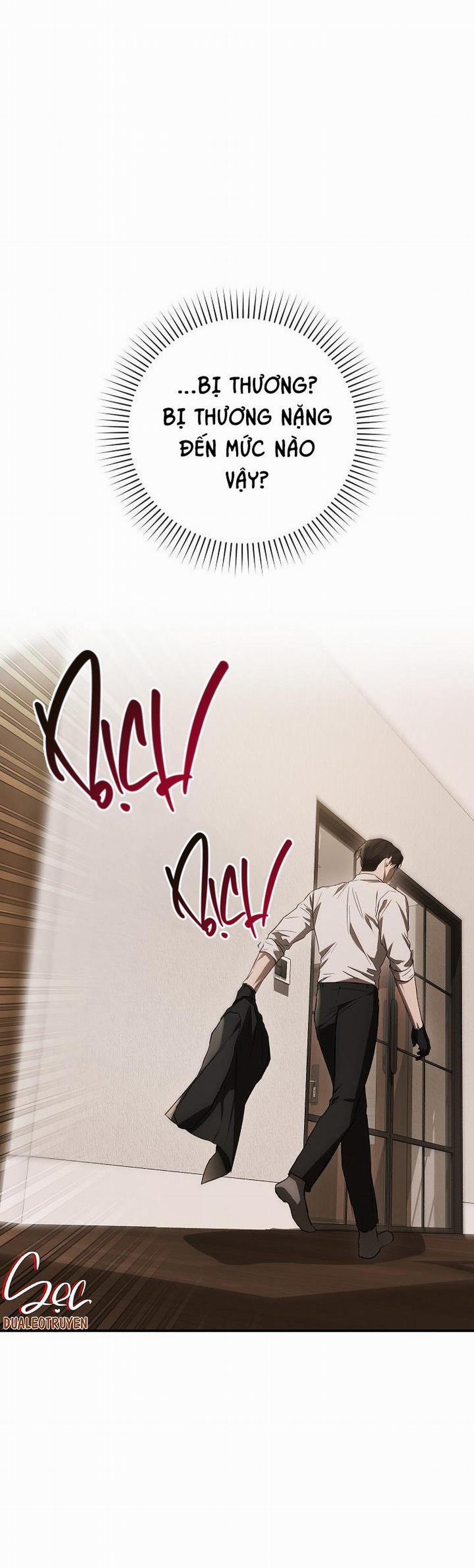 BẢO VẬT 8 trang 23