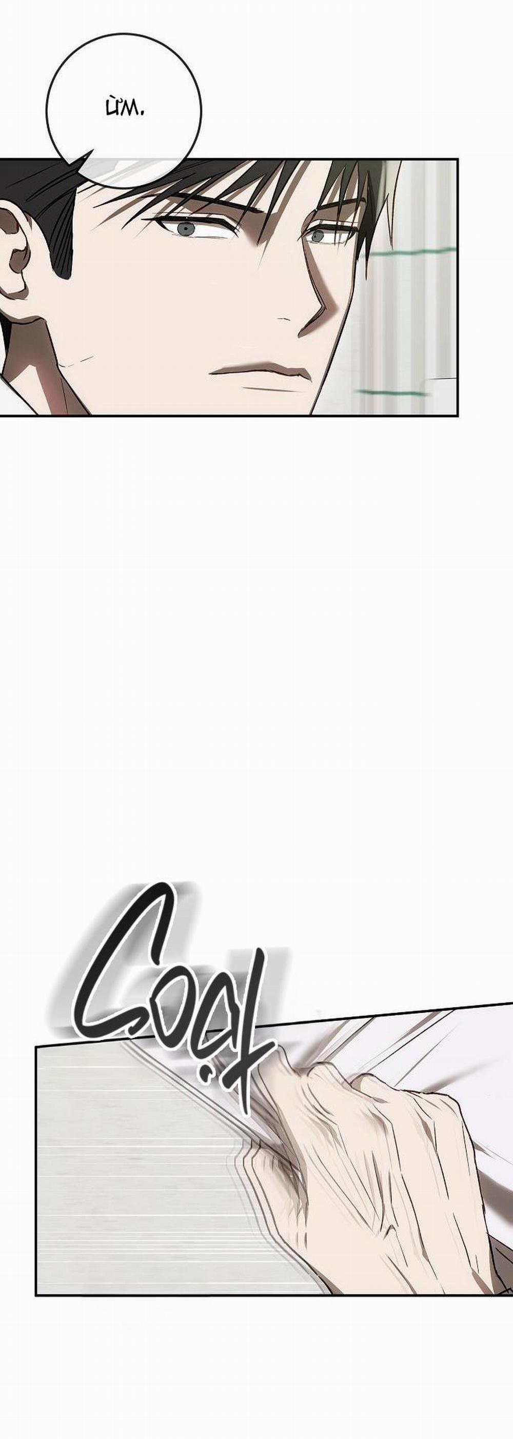 BẢO VẬT 8 trang 27