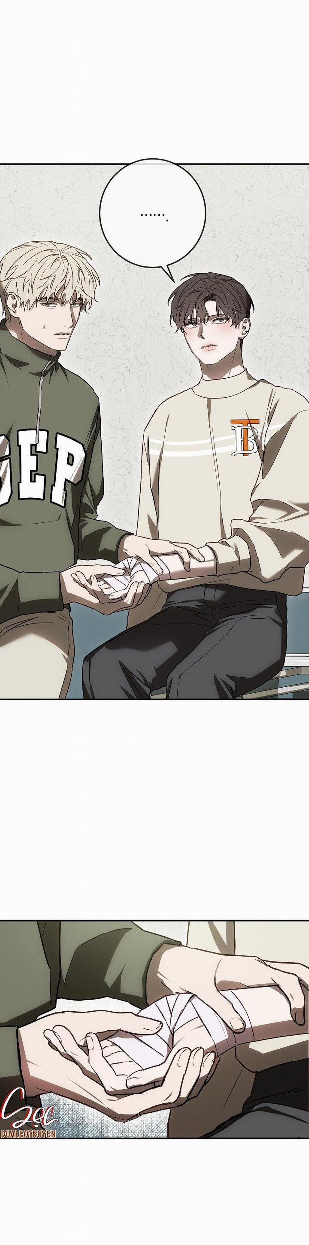 BẢO VẬT 8 trang 29