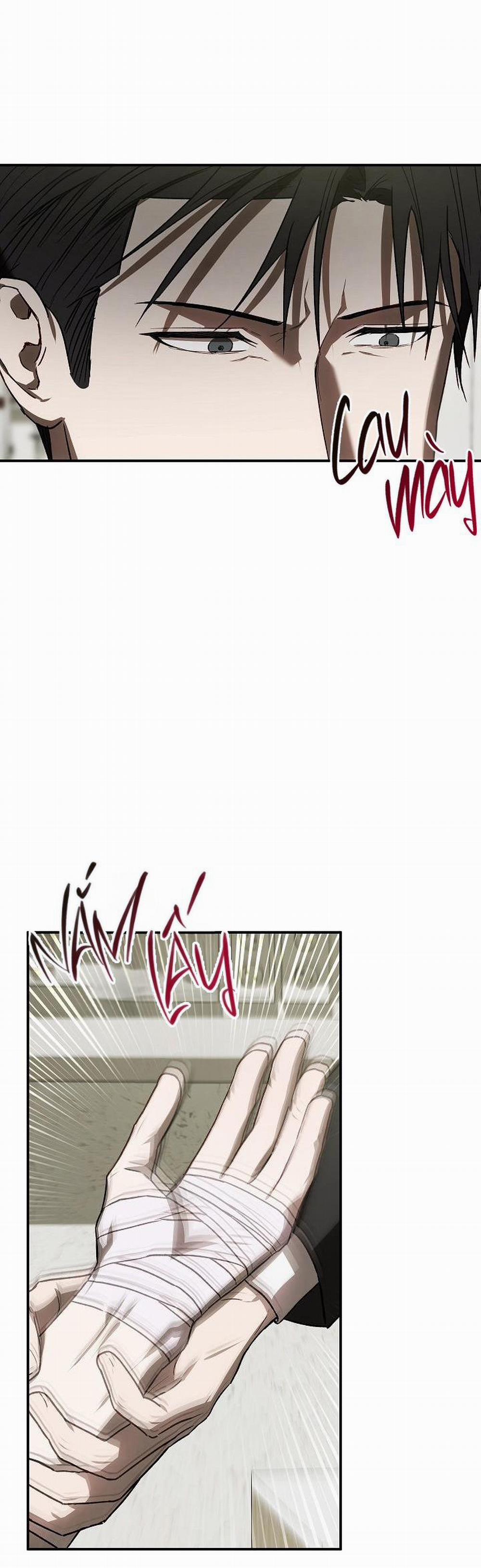 BẢO VẬT 8 trang 30