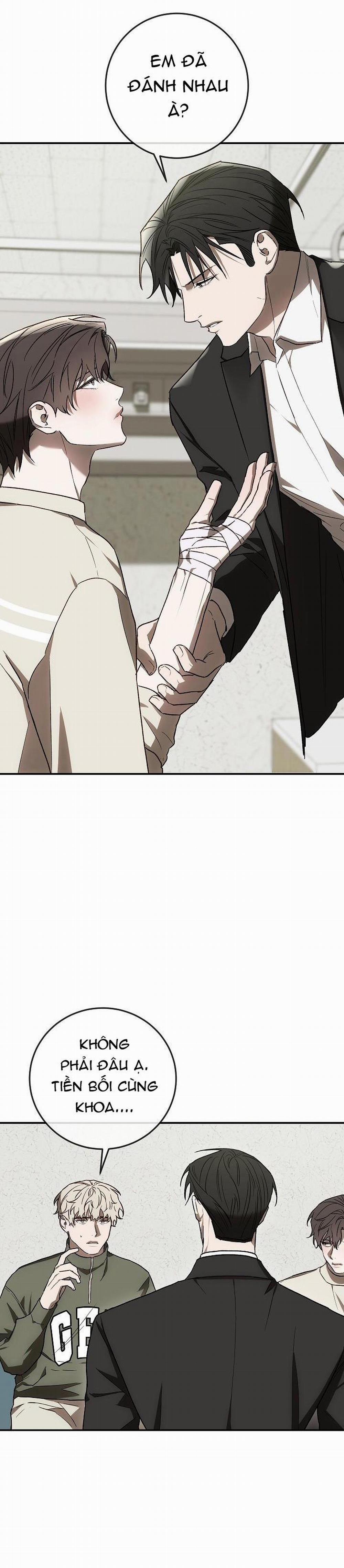 BẢO VẬT 8 trang 31