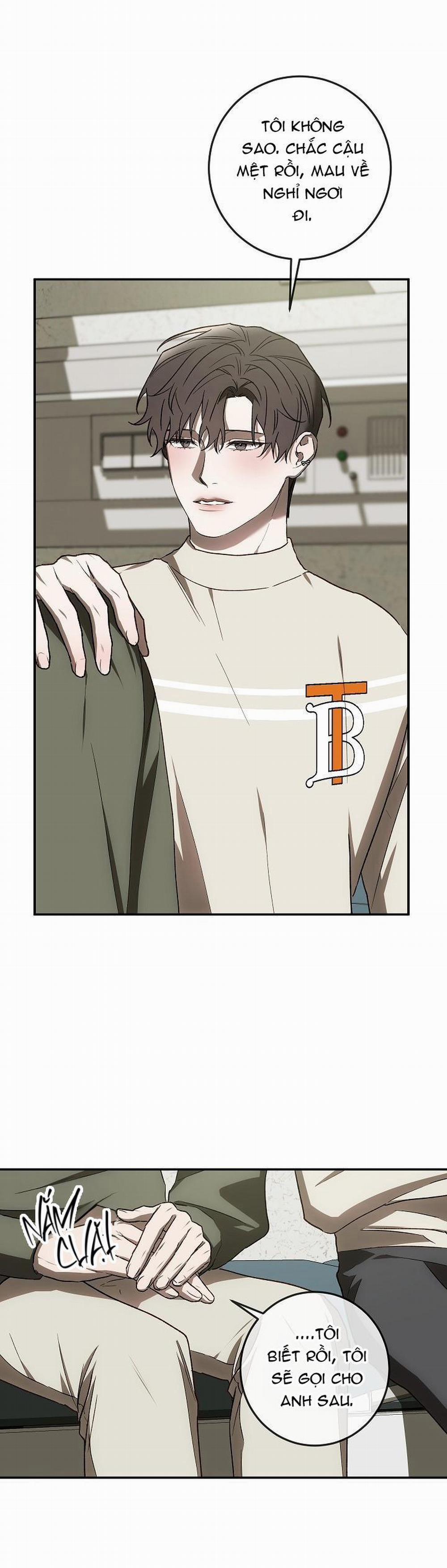 BẢO VẬT 8 trang 33