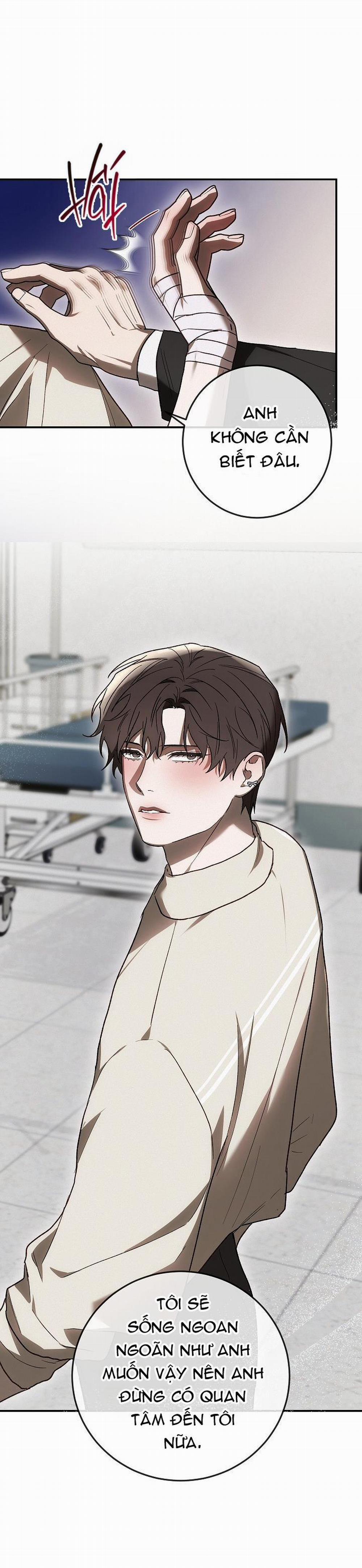 BẢO VẬT 8 trang 39