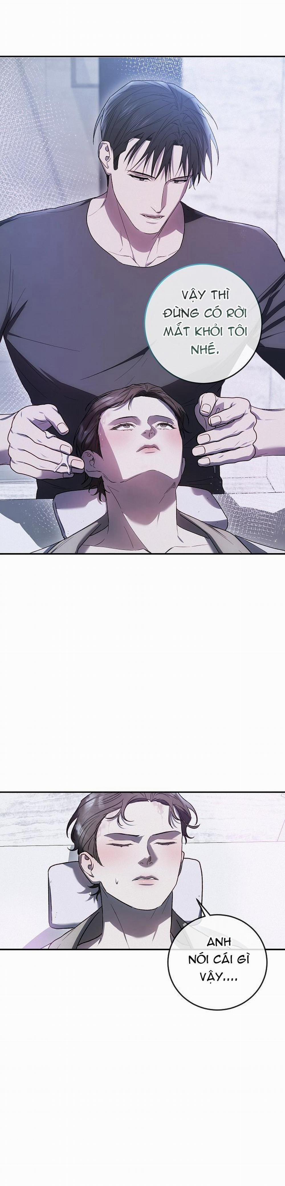 BẢO VẬT 9 trang 19