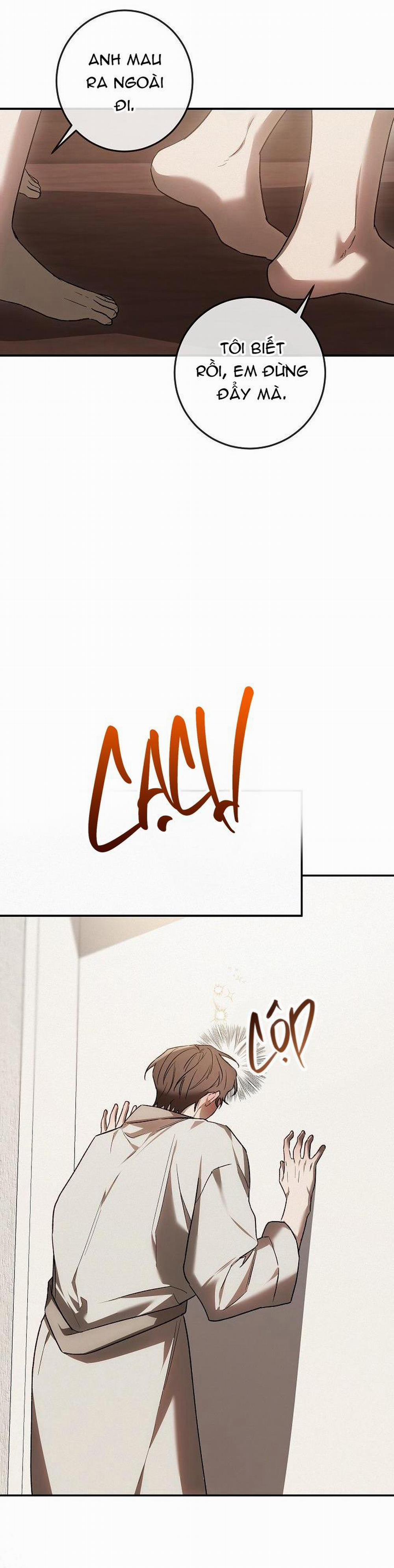 BẢO VẬT 9 trang 36