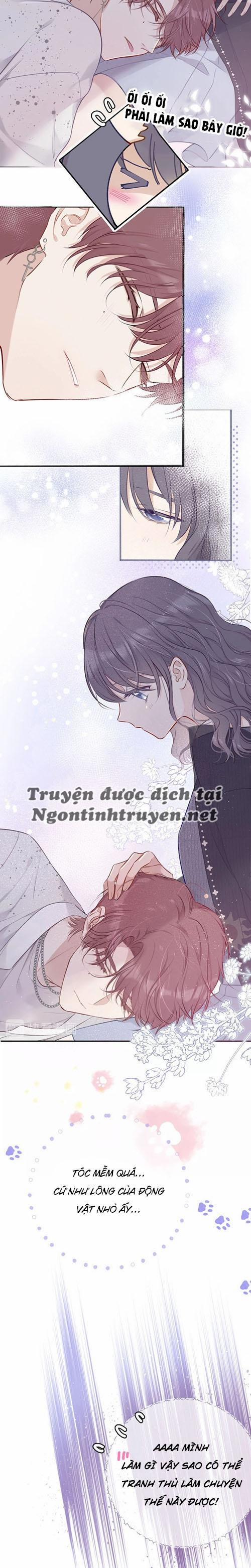 Bảo Vệ Đại Đại Bên Tôi 12 trang 5