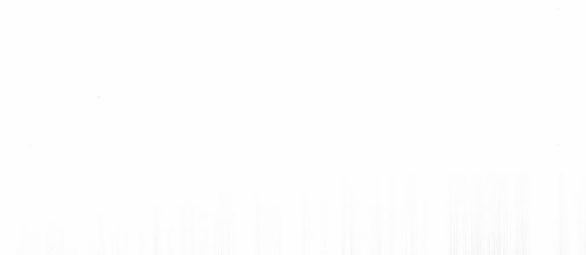 Bastian 29.1 trang 19