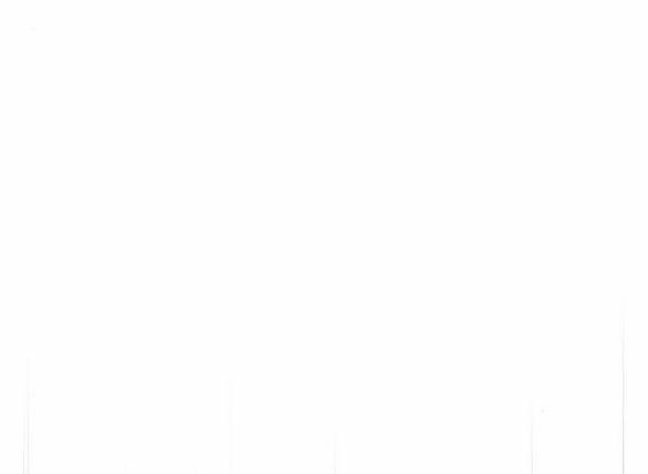 Bastian 31.2 trang 43