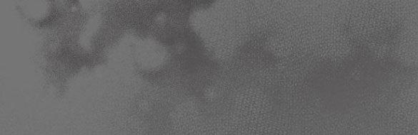 Bastian 34.2 trang 19