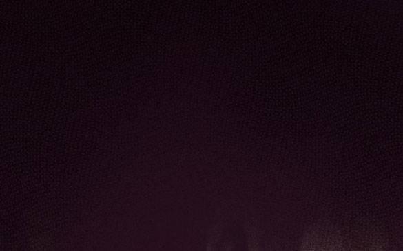 Bastian 36.2 trang 42