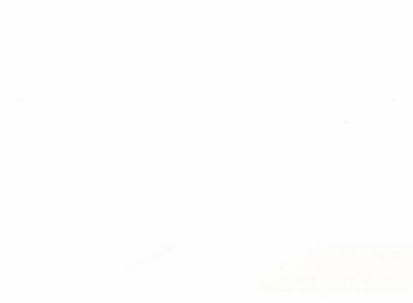 Bastian 36.2 trang 74