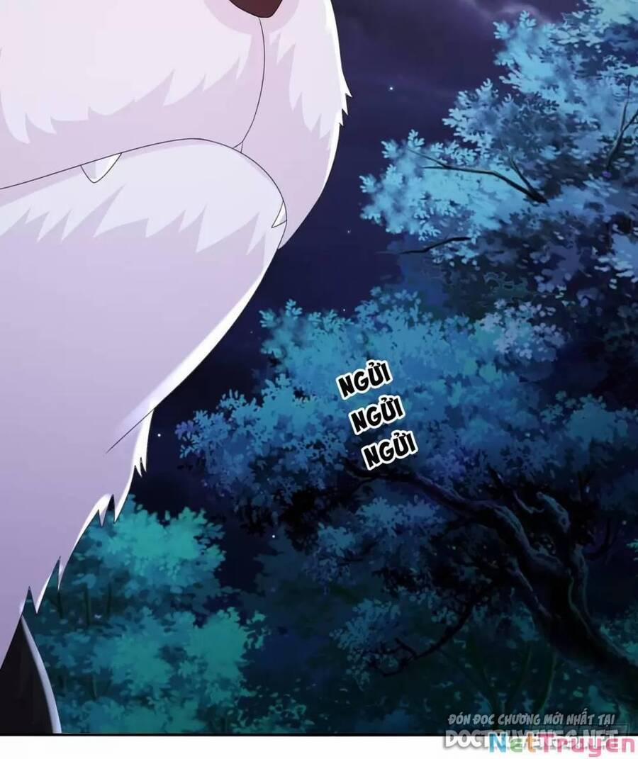 Bắt Đầu Có Được Bảy Vị Tuyệt Sắc Sư Tỷ 36 trang 19