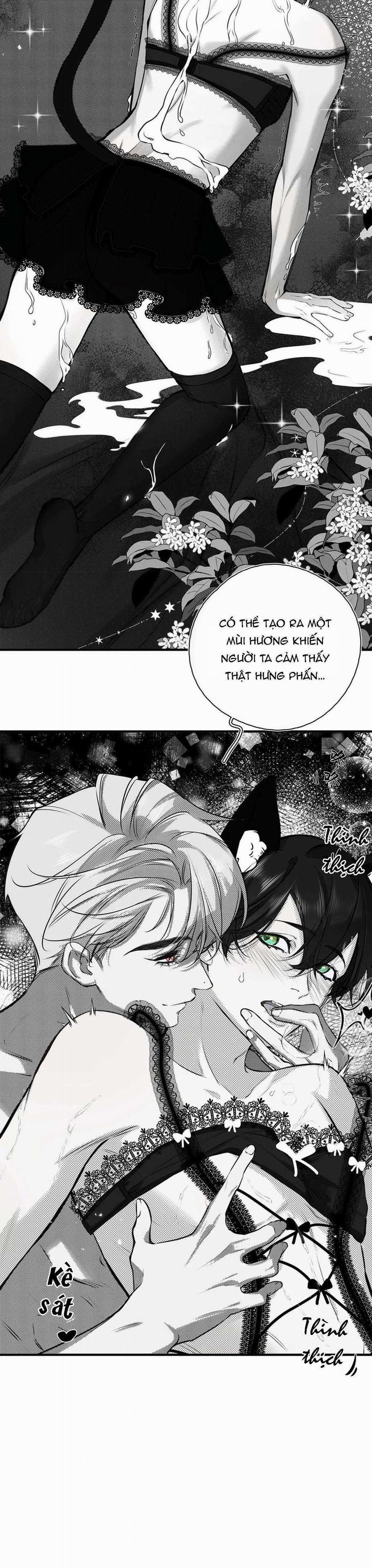 Bắt Đầu Làm Bạn Trai Từ Số 0 14 trang 10