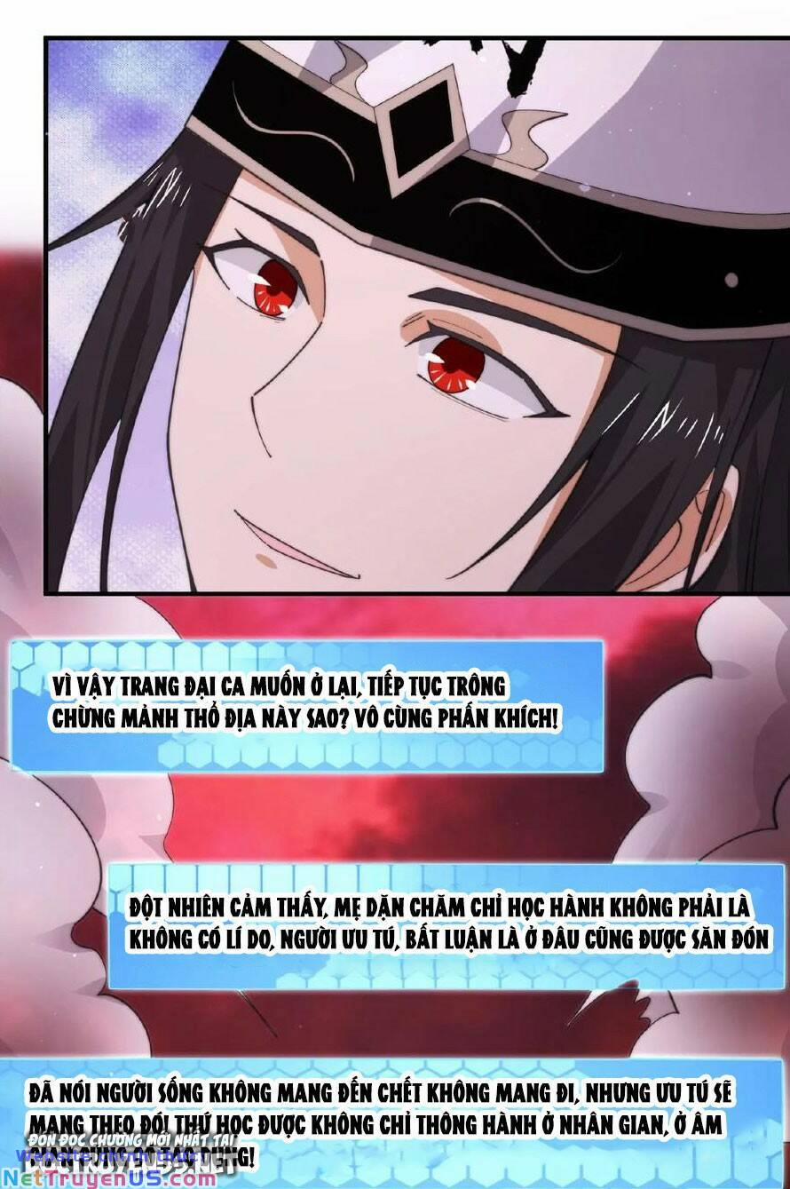 Bắt Đầu Livestream Ở Địa Phủ: Phát Sóng Trực Tiếp Ở Đây Ai Dám Đến 185 trang 1